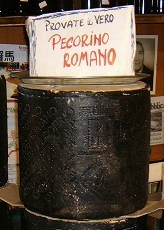 Pecorino